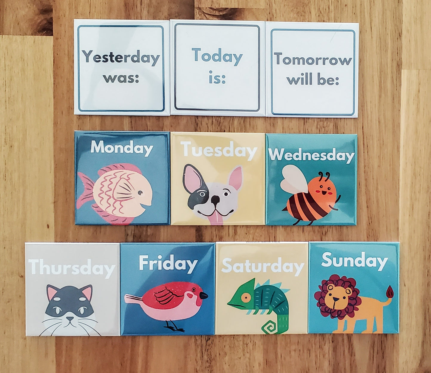 KID DAILY SCHEDULE