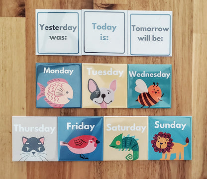 KID DAILY SCHEDULE