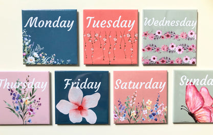 KID DAILY SCHEDULE